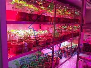 中国农业科学院特产研究所